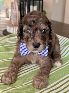 WhatsApp Image 2024-06-23 at 20.09.35_802159c8