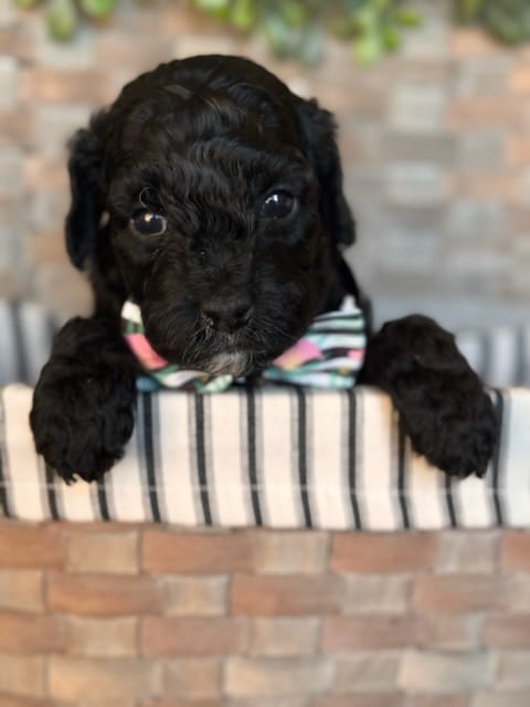 WhatsApp Image 2024-06-23 at 20.10.59_a711e8d9