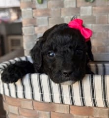 WhatsApp Image 2024-06-23 at 20.15.12_888c435f