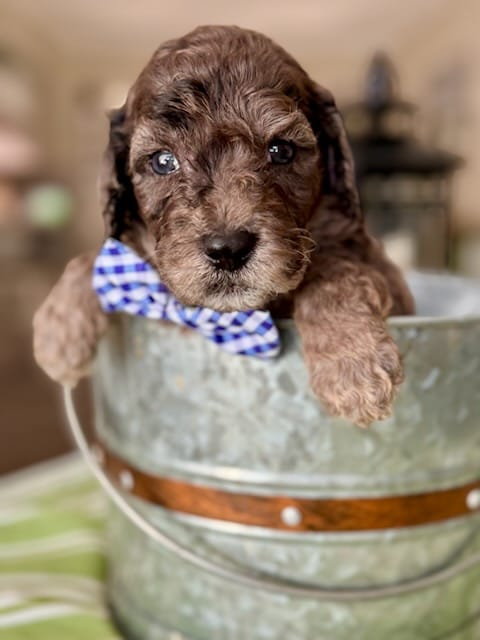 WhatsApp Image 2024-06-23 at 20.19.38_b6f1fcd0