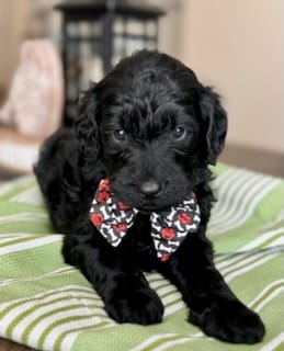 WhatsApp Image 2024-06-23 at 20.22.44_e495c9ee