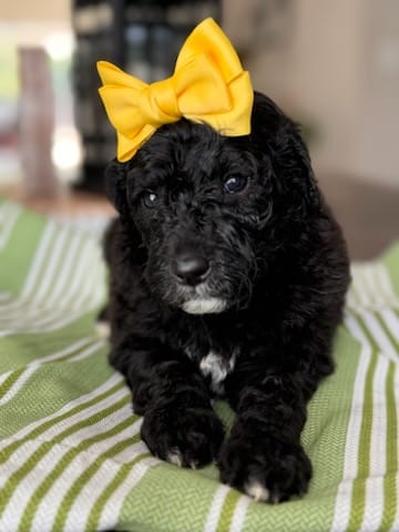 WhatsApp Image 2024-06-23 at 20.23.45_3f225b97