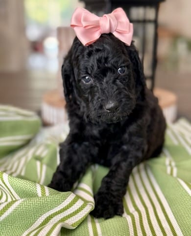 WhatsApp Image 2024-06-23 at 20.25.00_b8fd8348